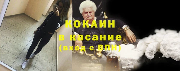 молекула духа Новозыбков