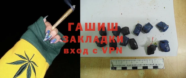 хмурый Алексин