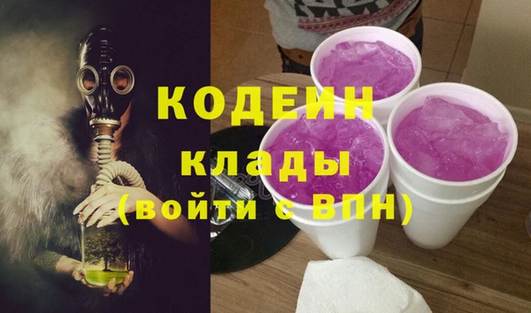 ГАЛЛЮЦИНОГЕННЫЕ ГРИБЫ Алзамай