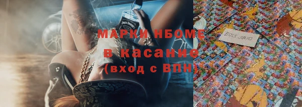 молекула духа Новозыбков