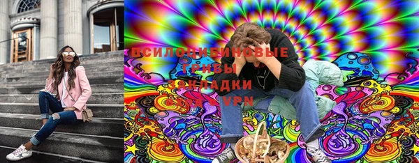 хмурый Алексин