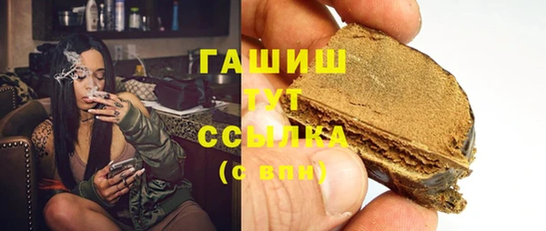 хмурый Алексин