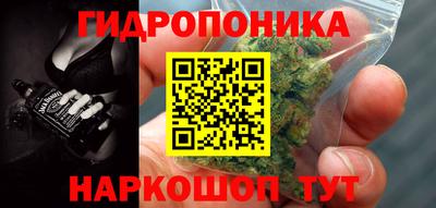 гидра Уссурийск
