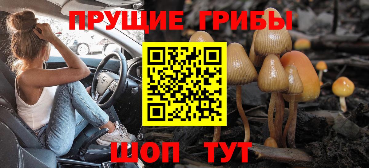 Новошахтинск  Галлюциногенные грибы MAGIC MUSHROOMS  Вход с VPN 