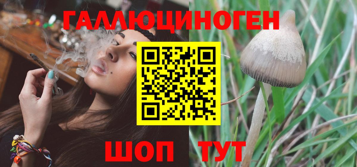 Псилоцибиновые грибы мухоморы Новошахтинск